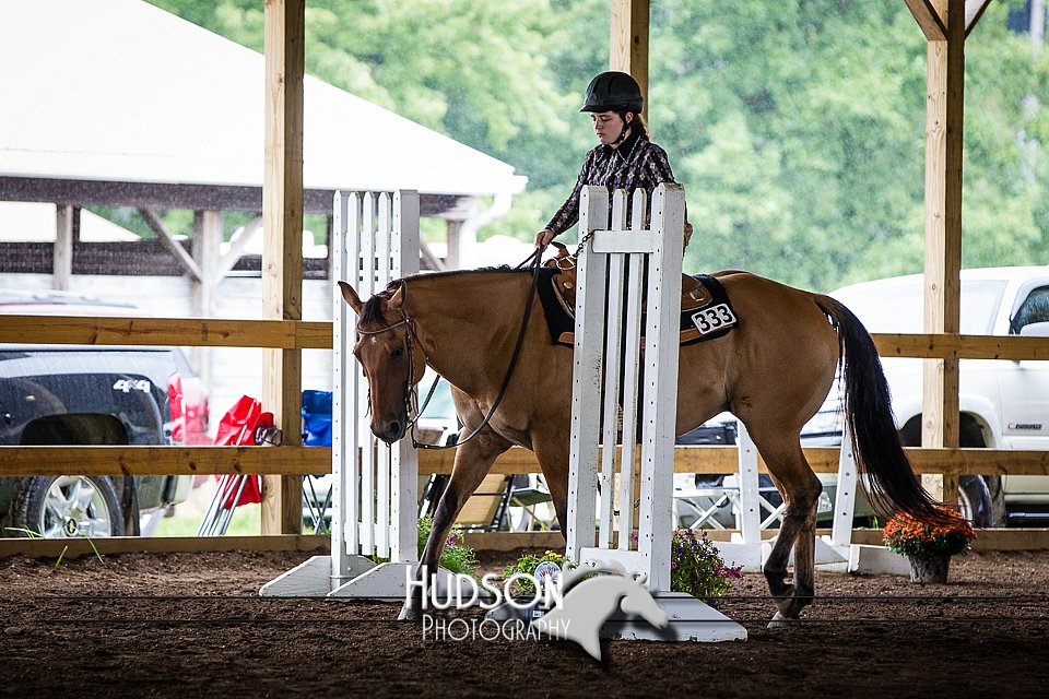 4H-District-090614-0473.jpg