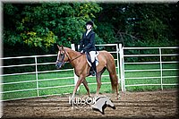 4H-District-090614-0401.jpg