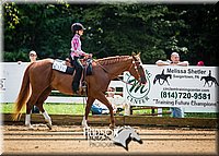 4H-District-090714-1348.jpg