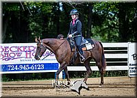 4H-District-090714-1463.jpg