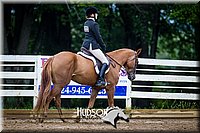 4H-District-090614-0709.jpg