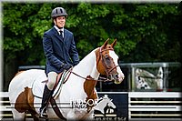 4H-District-090614-0718.jpg
