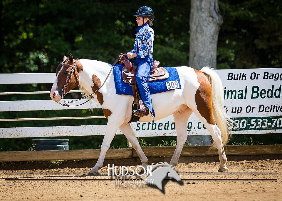 4H-District-090714-1415.jpg