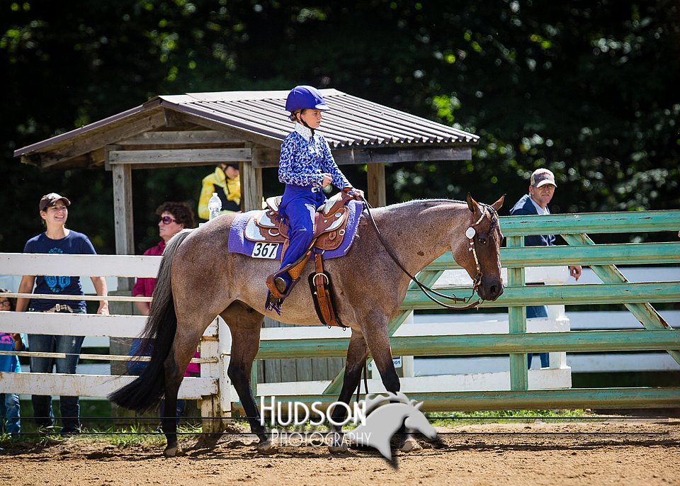 4H-District-090714-1418.jpg