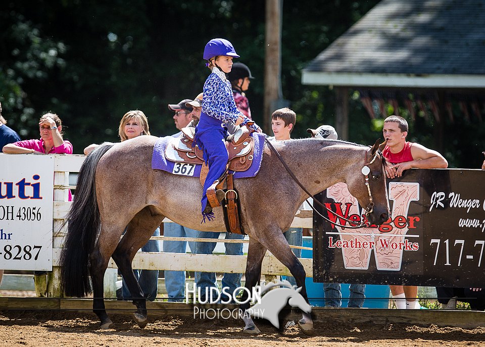 4H-District-090714-1422.jpg