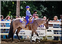 4H-District-090714-1421.jpg