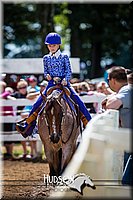 4H-District-090714-1425.jpg