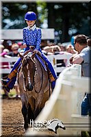4H-District-090714-1426.jpg