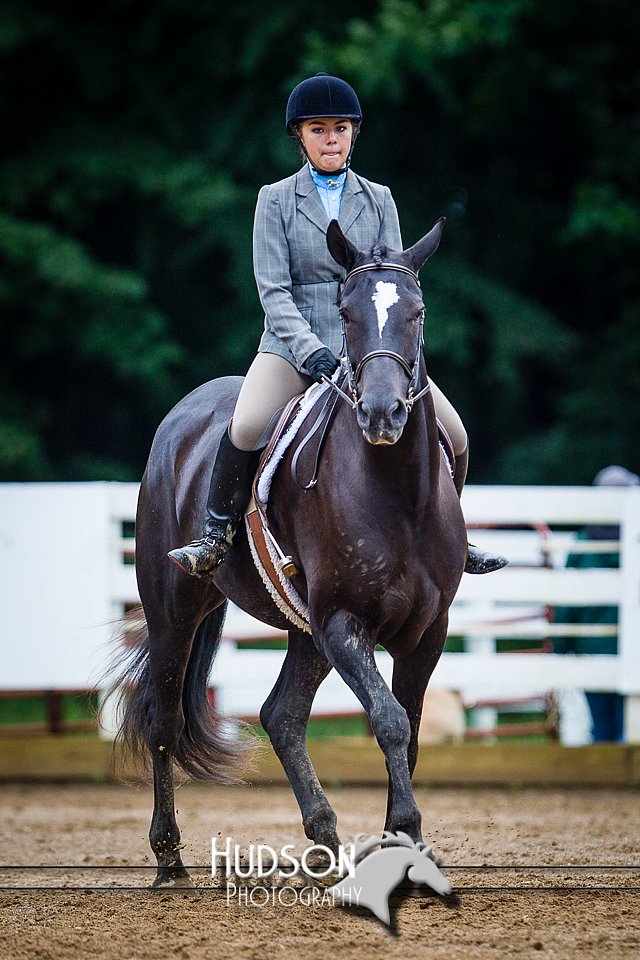 4H-District-090614-0820.jpg