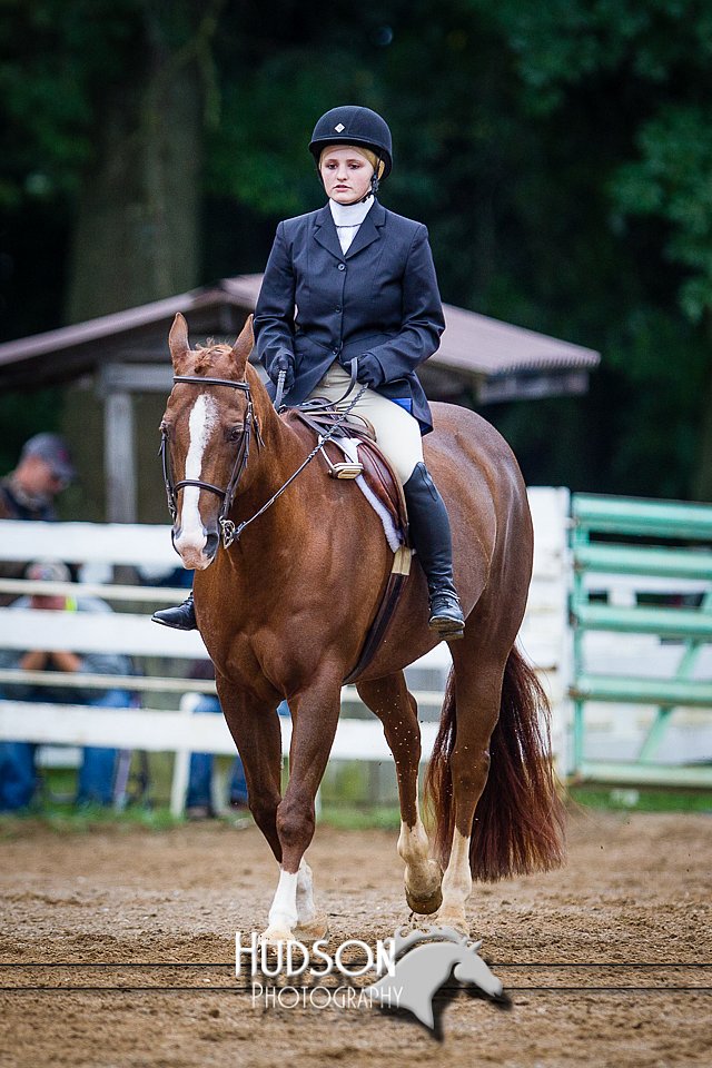 4H-District-090614-0828.jpg
