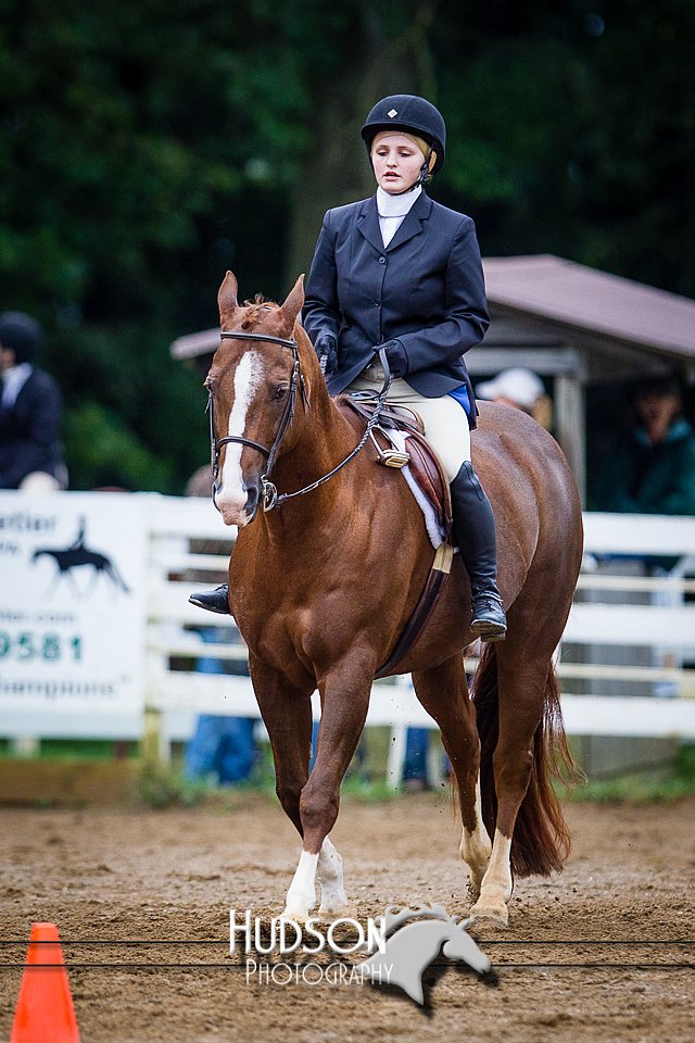 4H-District-090614-0829.jpg