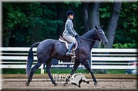 4H-District-090614-0818.jpg