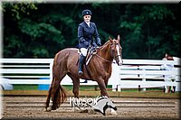 4H-District-090614-0833.jpg