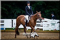 4H-District-090614-0845.jpg