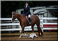 4H-District-090614-0863.jpg
