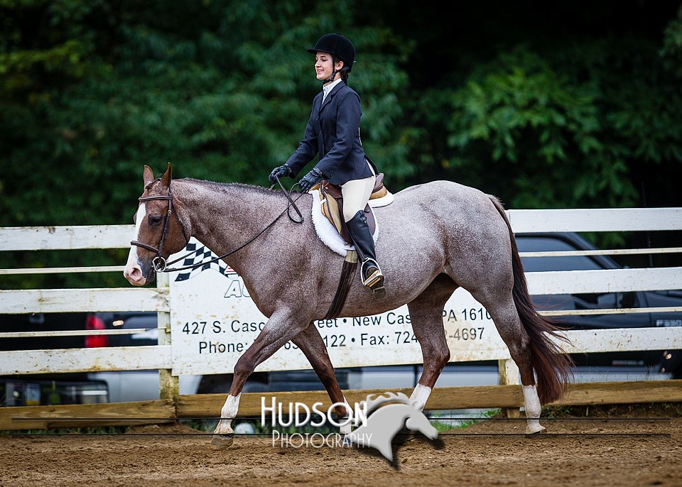 4H-District-090614-0914.jpg
