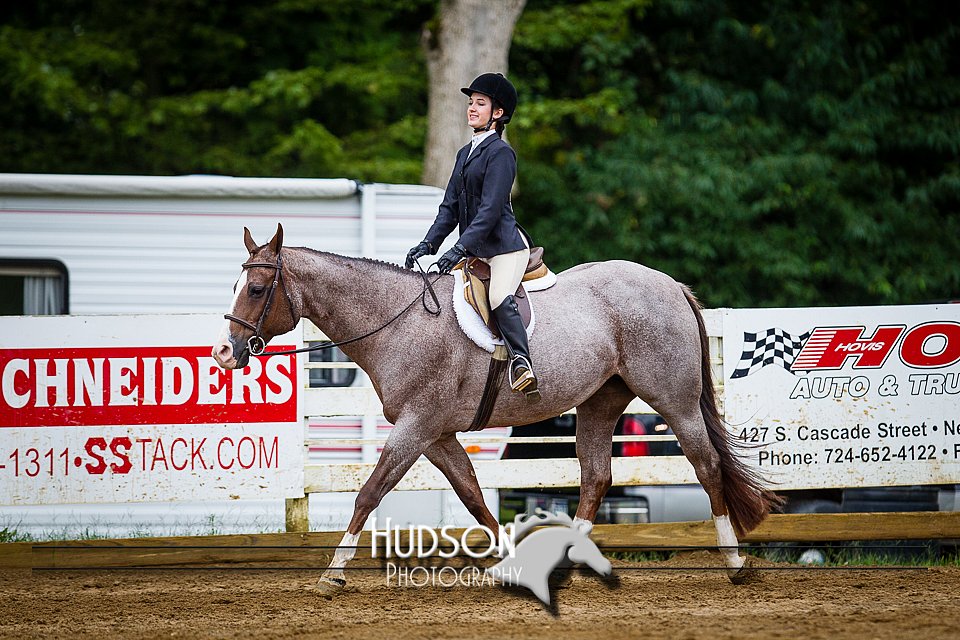 4H-District-090614-0915.jpg