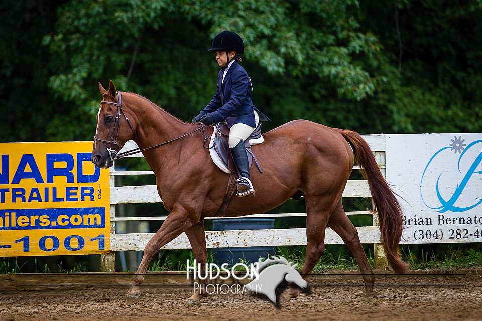 4H-District-090614-0947.jpg