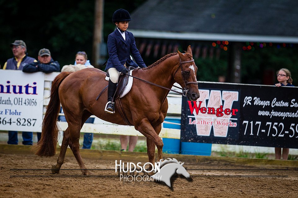 4H-District-090614-0948.jpg