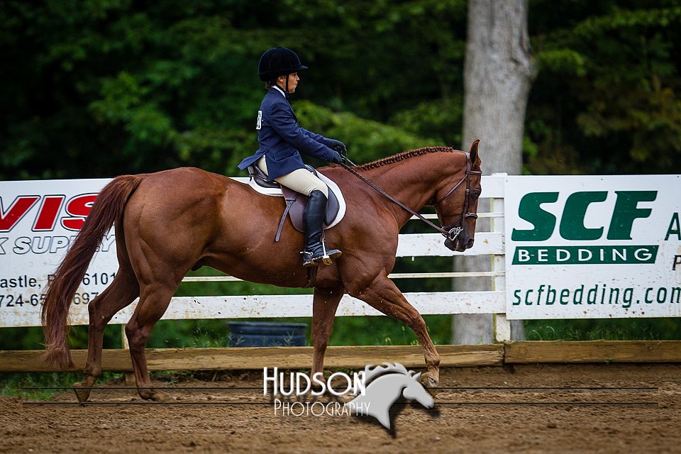 4H-District-090614-0953.jpg