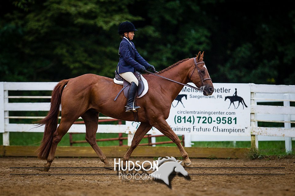 4H-District-090614-0956.jpg