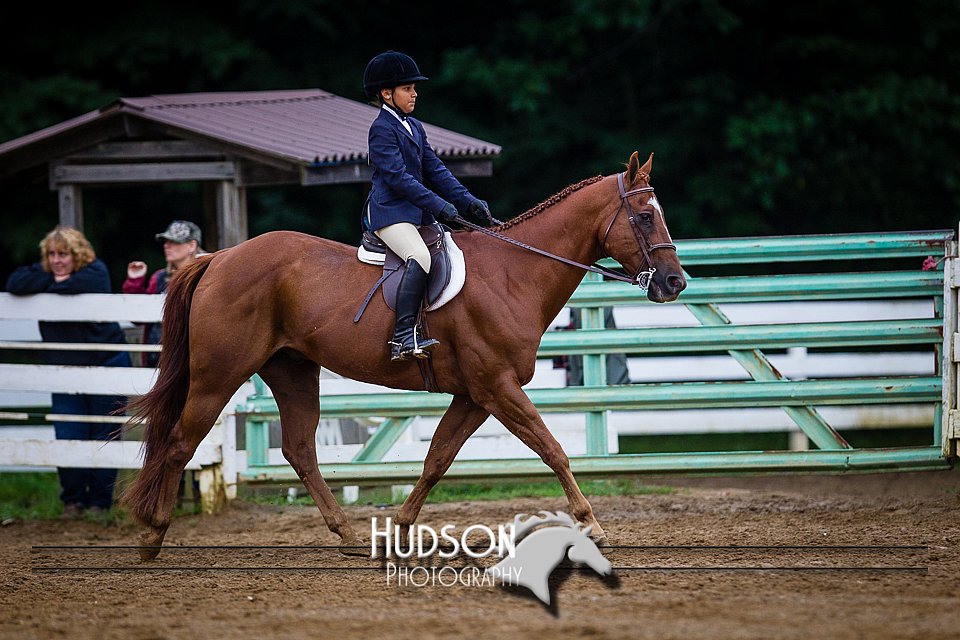 4H-District-090614-0957.jpg