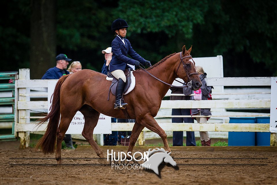 4H-District-090614-0958.jpg