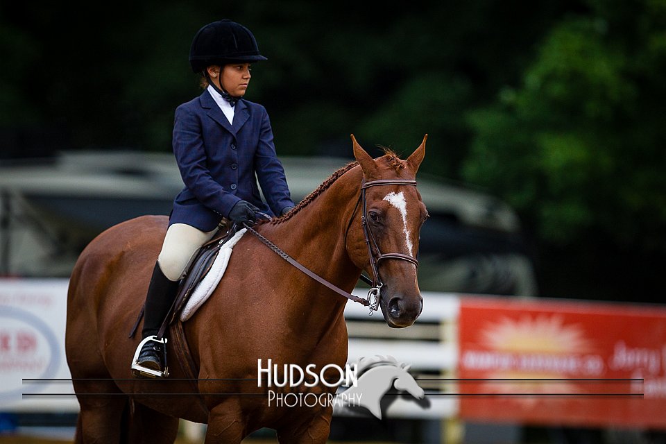 4H-District-090614-0969.jpg