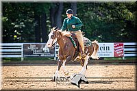 4H-District-090714-1206.jpg