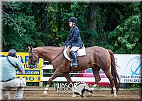 55. Breed Type Hunter Under Saddle Horses - Sr. Rider