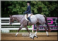 57. Breed Type Hunter Under Saddle Horses - Jr. Rider