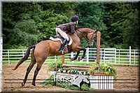 40. Hunter Seat Equitation (over fences), Jr. Rider