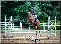 36. Hunter Hack Ponies (14.2 Hds. & Under)