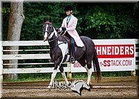 52. Saddle Seat Pleasure, Non-trotting