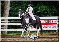 52. Saddle Seat Pleasure, Non-trotting