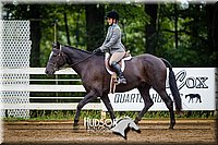 54. Classic Hunter Under Saddle Horses - Sr. Rider