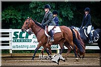 59. Hunter Under Saddle Ponies - (over 13 hds. & not over 14.2 hds.)