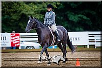 67. Hunter Seat Equitation (on the flat) - Sr. Division