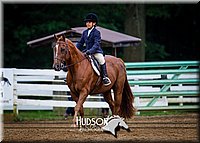 69. Hunter Seat Equitation (on the flat) - Jr. Division