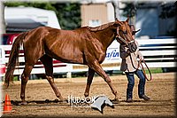 20. Western Grooming & Showmanship -Jr. Division