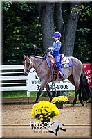 62. Beginner Western Horsemanship