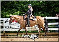 48. Western Pleasure Horses, Jr. Rider