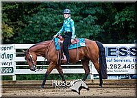 50. Western Pleasure Pony (over 13 hds. & not over 14.2 hds.)