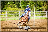 4H-District-091314-2341.jpg