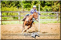 4H-District-091314-2412.jpg