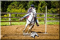 4H-District-091314-2432.jpg