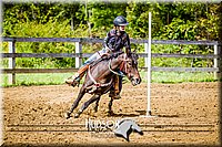 4H-District-091314-2503.jpg