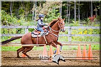 4H-District-091314-2810.jpg