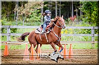 4H-District-091314-2811.jpg