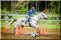 4H-District-091314-2816.jpg